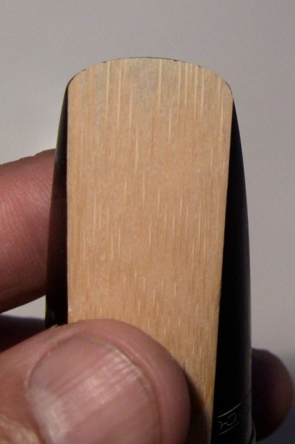 saxophone-reed-placement-video